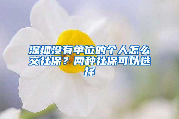 深圳没有单位的个人怎么交社保？两种社保可以选择