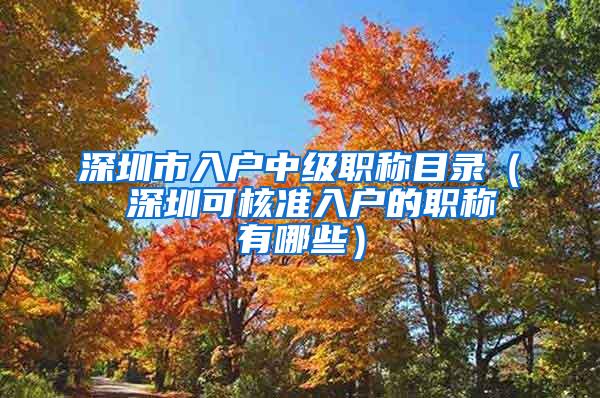 深圳市入户中级职称目录（ 深圳可核准入户的职称有哪些）