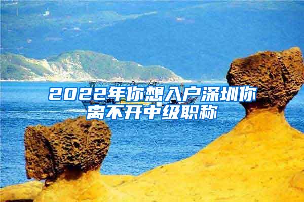 2022年你想入户深圳你离不开中级职称