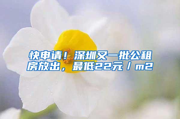 快申请！深圳又一批公租房放出，最低22元／m2