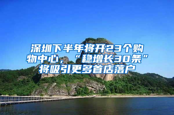 深圳下半年将开23个购物中心，“稳增长30条”将吸引更多首店落户