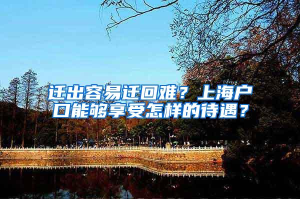 迁出容易迁回难？上海户口能够享受怎样的待遇？