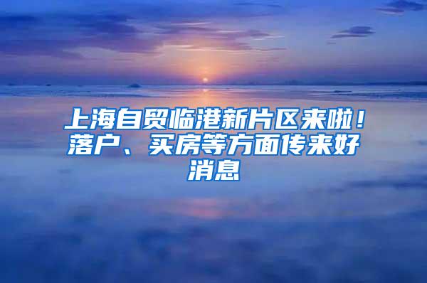 上海自贸临港新片区来啦！落户、买房等方面传来好消息