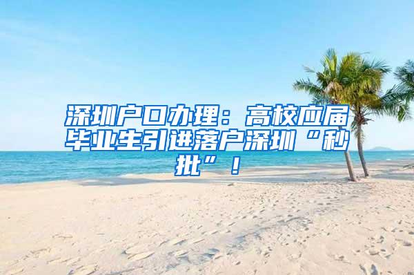 深圳户口办理：高校应届毕业生引进落户深圳“秒批”！