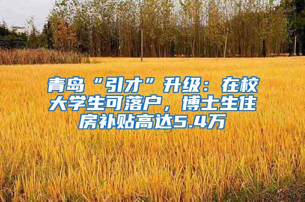 青岛“引才”升级：在校大学生可落户，博士生住房补贴高达5.4万