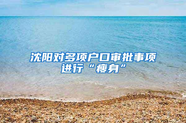 沈阳对多项户口审批事项进行“瘦身”