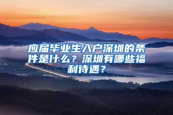 应届毕业生入户深圳的条件是什么？深圳有哪些福利待遇？