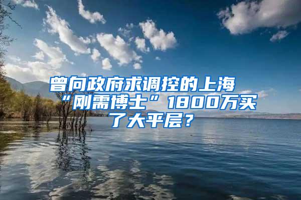 曾向政府求调控的上海“刚需博士”1800万买了大平层？