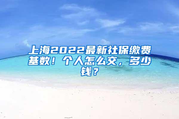 上海2022最新社保缴费基数！个人怎么交，多少钱？