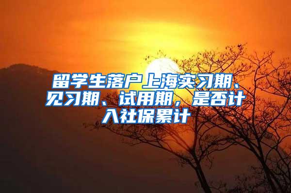 留学生落户上海实习期、见习期、试用期，是否计入社保累计