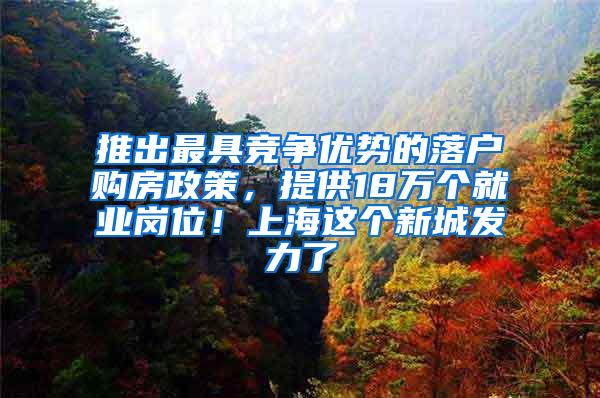 推出最具竞争优势的落户购房政策，提供18万个就业岗位！上海这个新城发力了