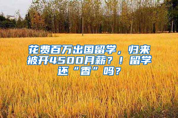 花费百万出国留学，归来被开4500月薪？！留学还“香”吗？