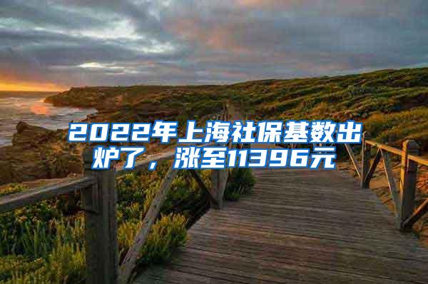 2022年上海社保基数出炉了，涨至11396元