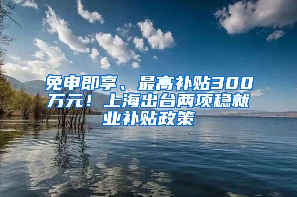 免申即享、最高补贴300万元！上海出台两项稳就业补贴政策