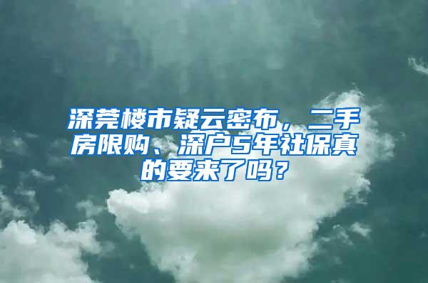 深莞楼市疑云密布，二手房限购、深户5年社保真的要来了吗？