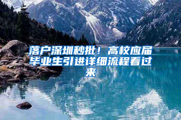 落户深圳秒批！高校应届毕业生引进详细流程看过来