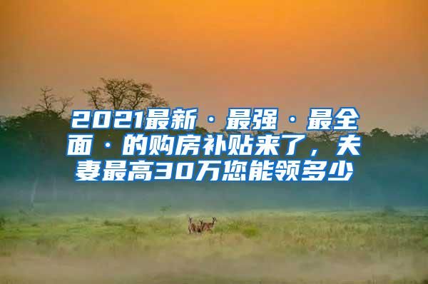 2021最新·最强·最全面·的购房补贴来了，夫妻最高30万您能领多少