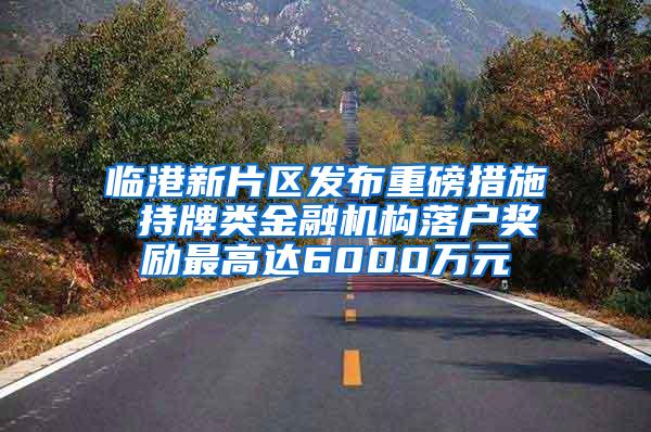 临港新片区发布重磅措施 持牌类金融机构落户奖励最高达6000万元