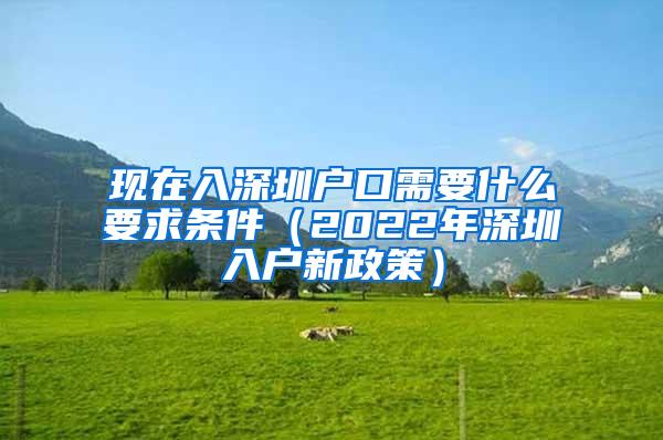 现在入深圳户口需要什么要求条件（2022年深圳入户新政策）