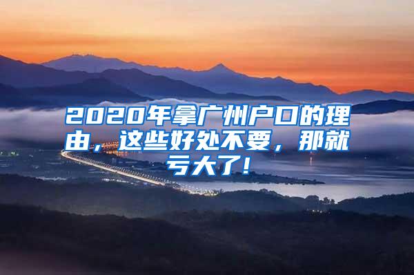 2020年拿广州户口的理由，这些好处不要，那就亏大了!