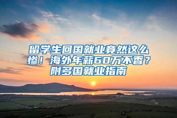 留学生回国就业竟然这么惨！海外年薪60万不香？附多国就业指南