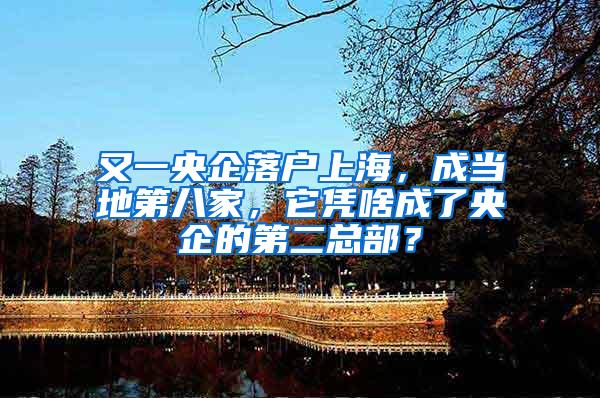 又一央企落户上海，成当地第八家，它凭啥成了央企的第二总部？