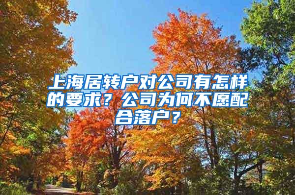 上海居转户对公司有怎样的要求？公司为何不愿配合落户？