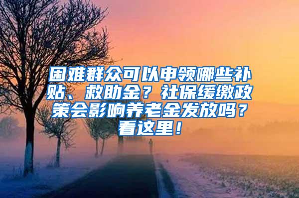 困难群众可以申领哪些补贴、救助金？社保缓缴政策会影响养老金发放吗？看这里！