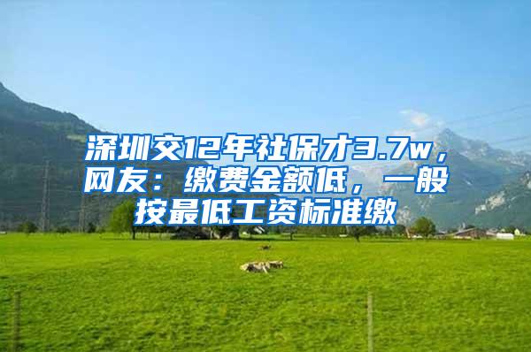 深圳交12年社保才3.7w，网友：缴费金额低，一般按最低工资标准缴