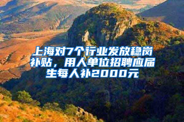 上海对7个行业发放稳岗补贴，用人单位招聘应届生每人补2000元