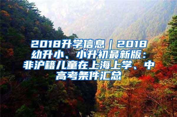 2018升学信息｜2018幼升小、小升初最新版：非沪籍儿童在上海上学、中高考条件汇总
