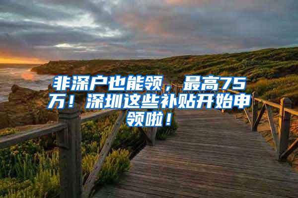 非深户也能领，最高75万！深圳这些补贴开始申领啦！