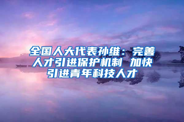 全国人大代表孙维：完善人才引进保护机制 加快引进青年科技人才