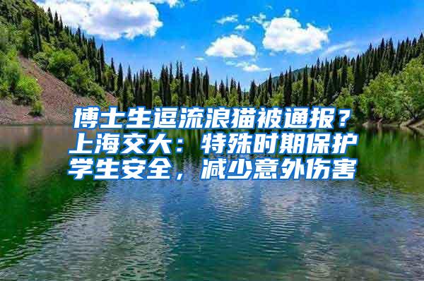 博士生逗流浪猫被通报？上海交大：特殊时期保护学生安全，减少意外伤害