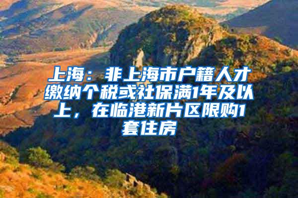 上海：非上海市户籍人才缴纳个税或社保满1年及以上，在临港新片区限购1套住房