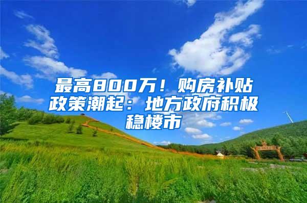 最高800万！购房补贴政策潮起：地方政府积极稳楼市