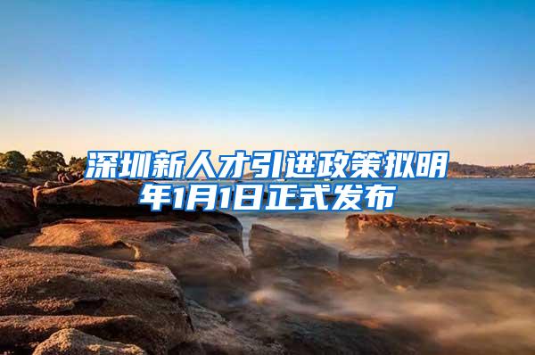 深圳新人才引进政策拟明年1月1日正式发布