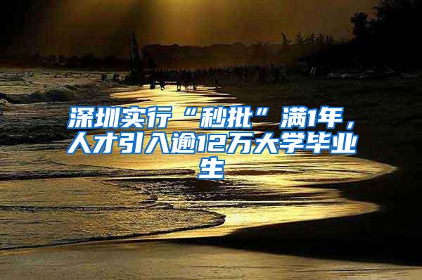 深圳实行“秒批”满1年，人才引入逾12万大学毕业生