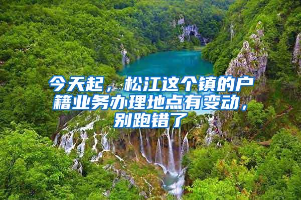 今天起，松江这个镇的户籍业务办理地点有变动，别跑错了