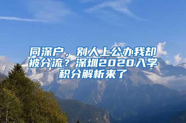 同深户，别人上公办我却被分流？深圳2020入学积分解析来了