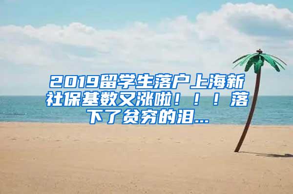 2019留学生落户上海新社保基数又涨啦！！！落下了贫穷的泪...