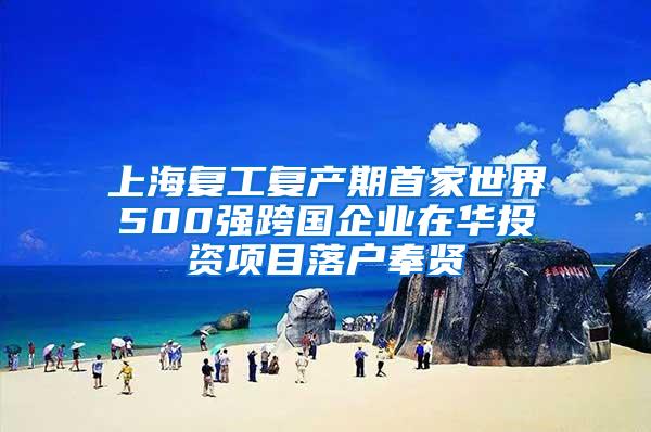 上海复工复产期首家世界500强跨国企业在华投资项目落户奉贤