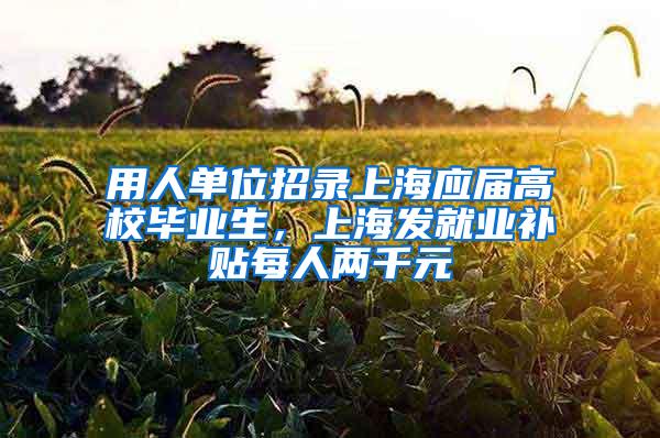 用人单位招录上海应届高校毕业生，上海发就业补贴每人两千元