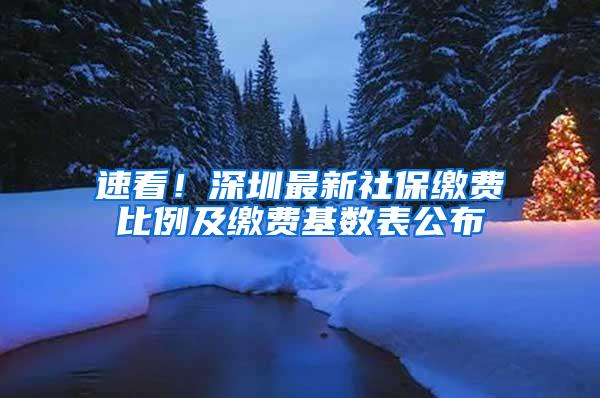 速看！深圳最新社保缴费比例及缴费基数表公布