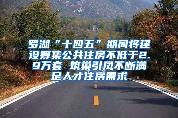 罗湖“十四五”期间将建设筹集公共住房不低于2.9万套 筑巢引凤不断满足人才住房需求