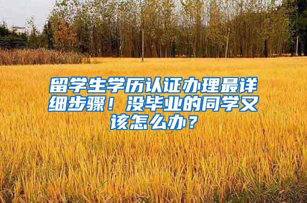 留学生学历认证办理最详细步骤！没毕业的同学又该怎么办？