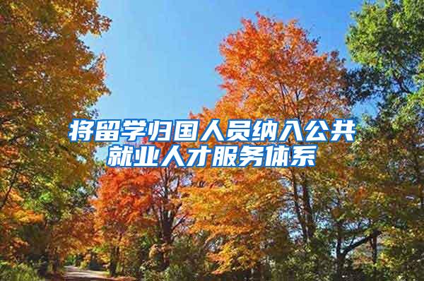 将留学归国人员纳入公共就业人才服务体系