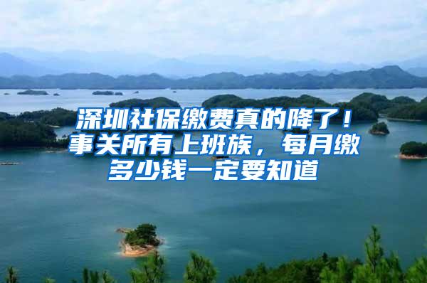 深圳社保缴费真的降了！事关所有上班族，每月缴多少钱一定要知道