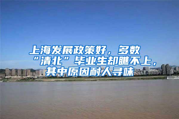 上海发展政策好，多数“清北”毕业生却瞧不上，其中原因耐人寻味
