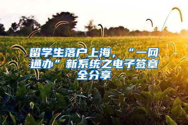 留学生落户上海，“一网通办”新系统之电子签章全分享